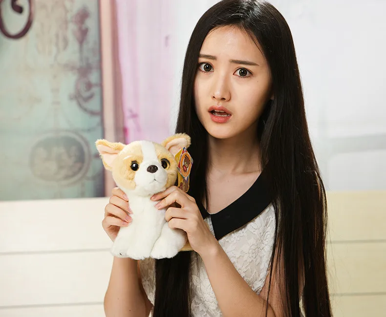 TB2itGacFXXXXbmXXXXXXXXXXXX_!!2269120331