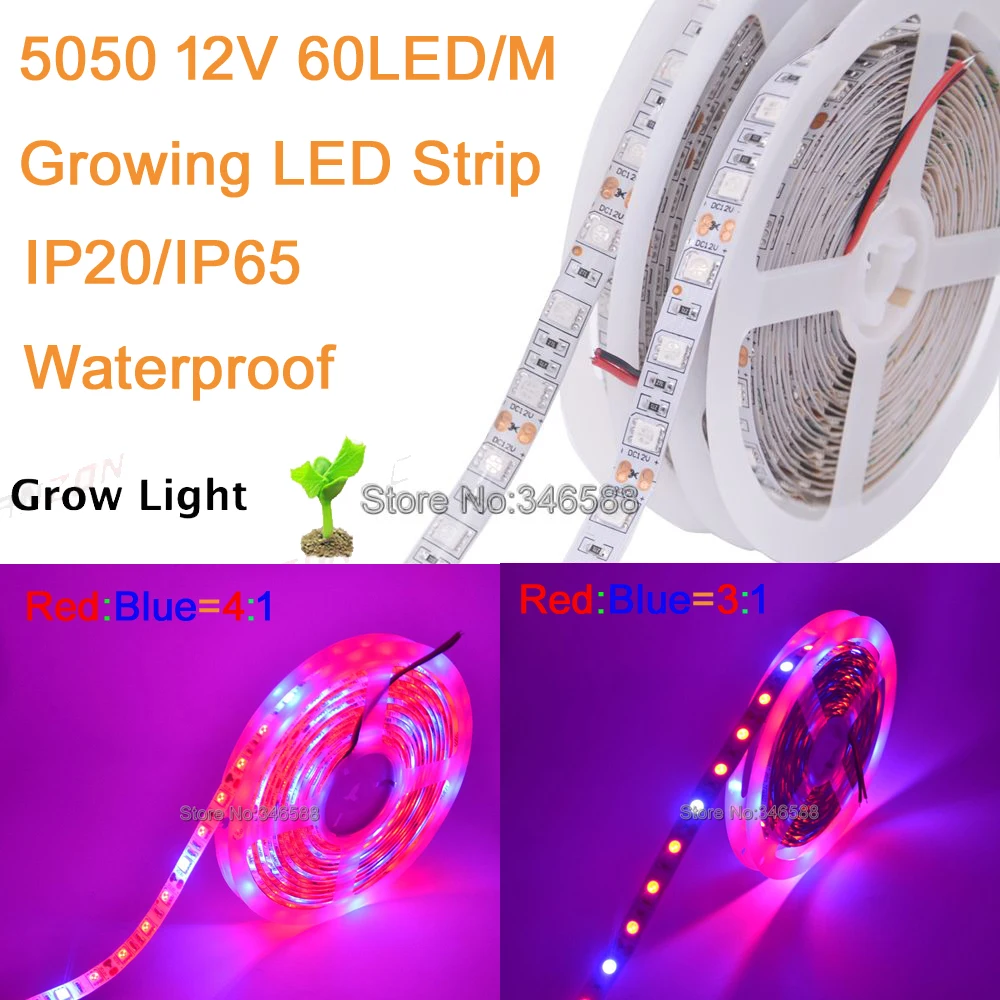 #cheap LED Plant Grow Light 5050 LED Strip DC12V Red Blue 31 41 51 for Greenhouse Hydroponic Plant Grow 5m lot IP20 IP65 Waterproof