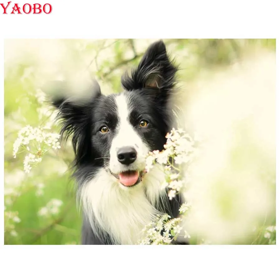 Алмазная живопись Border collie вышивка крестиком настенная алмазная с собакой 5D