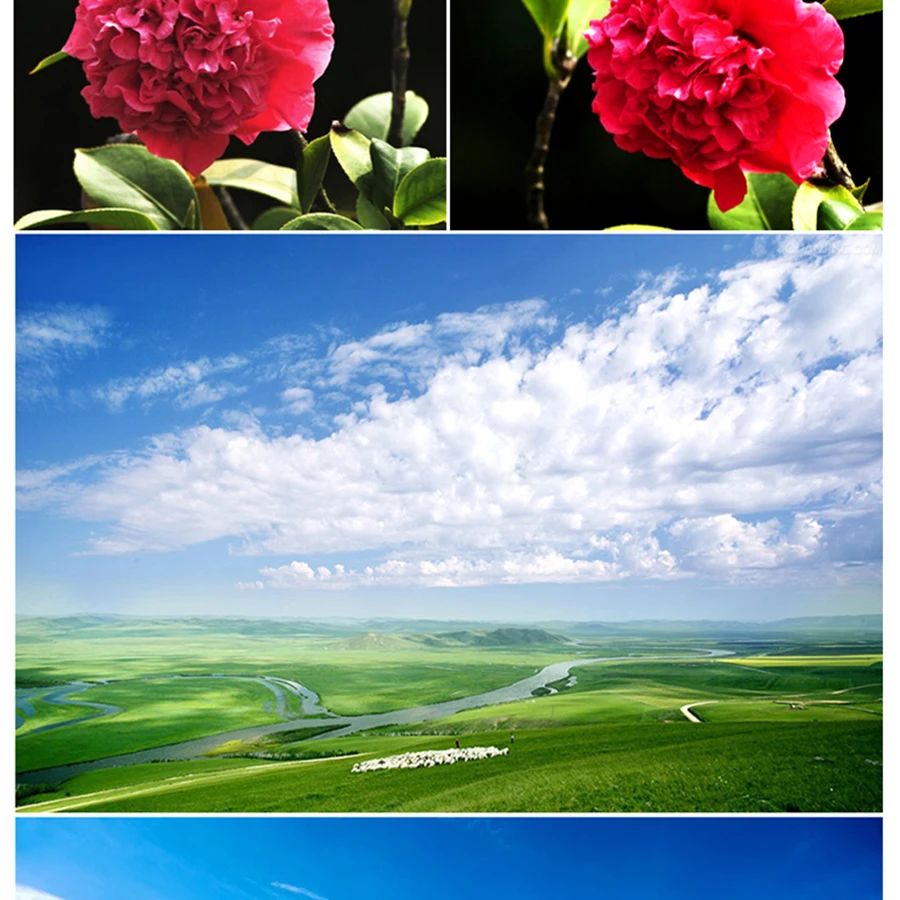 MCUV_05