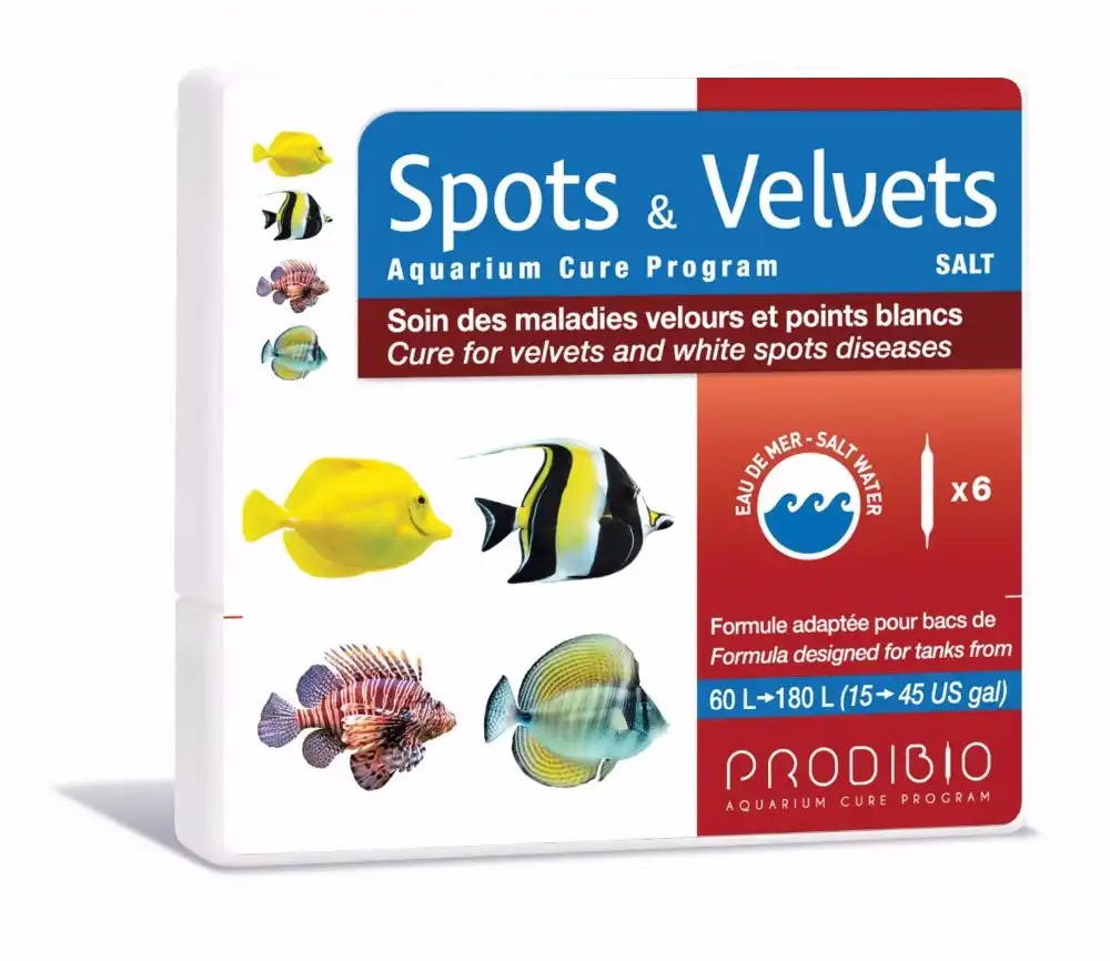 Prodibio Spot Beludru 6 Vial Untuk Akuarium Air Laut Garam Obat Obat Untuk Pengobatan Ikan Putih Spot Spot White Spot Treatment Aliexpress Obat aquarium air laut