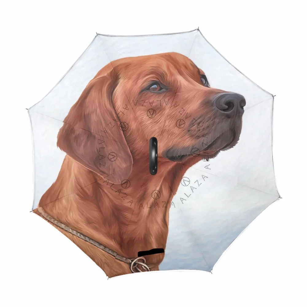 g3354689p183c217s313_1