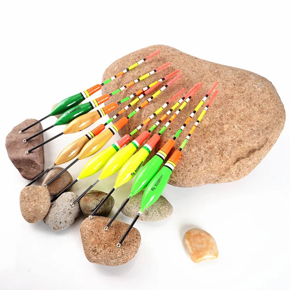 FISH KING Brand Carp Fishing Float Set 10PCS/Set 2G 3G 4G 5G Mix Color
