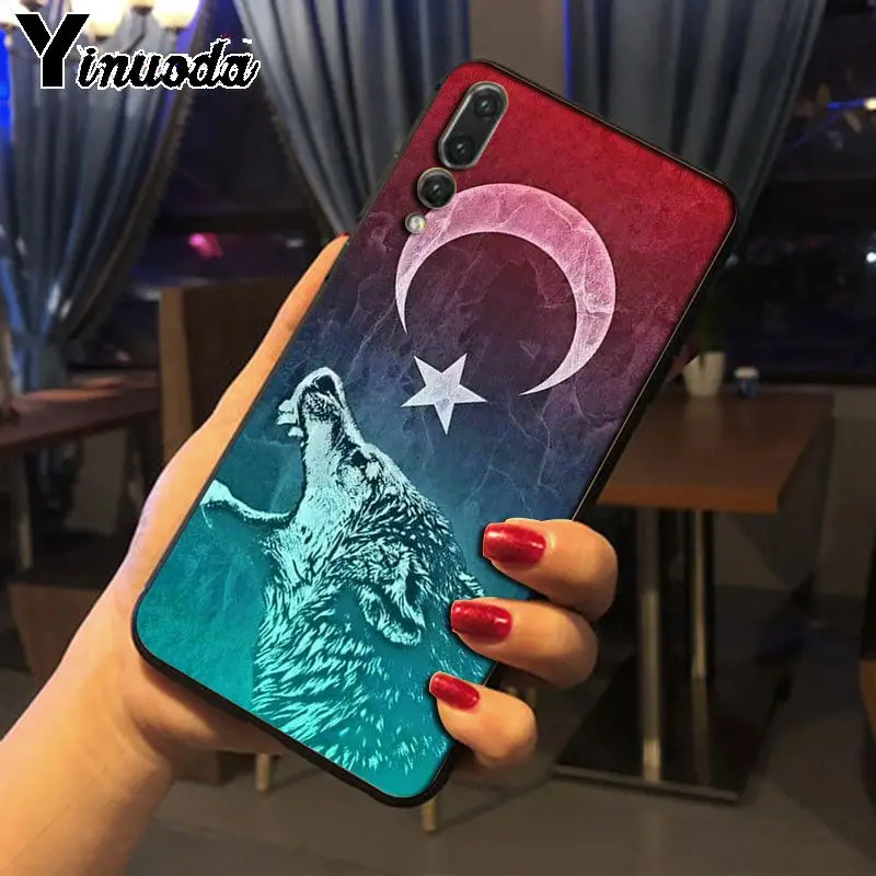 Flag of Istanbul Turkey wolf