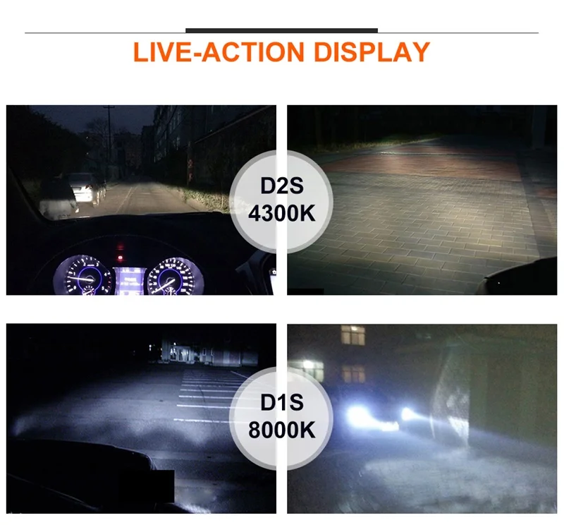 D_08