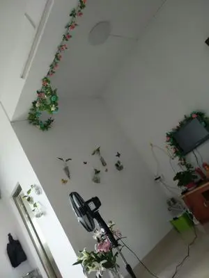 TB2443uXeE4wuJjy1XcXXcisFXa_!!0-rate.jpg_400x400