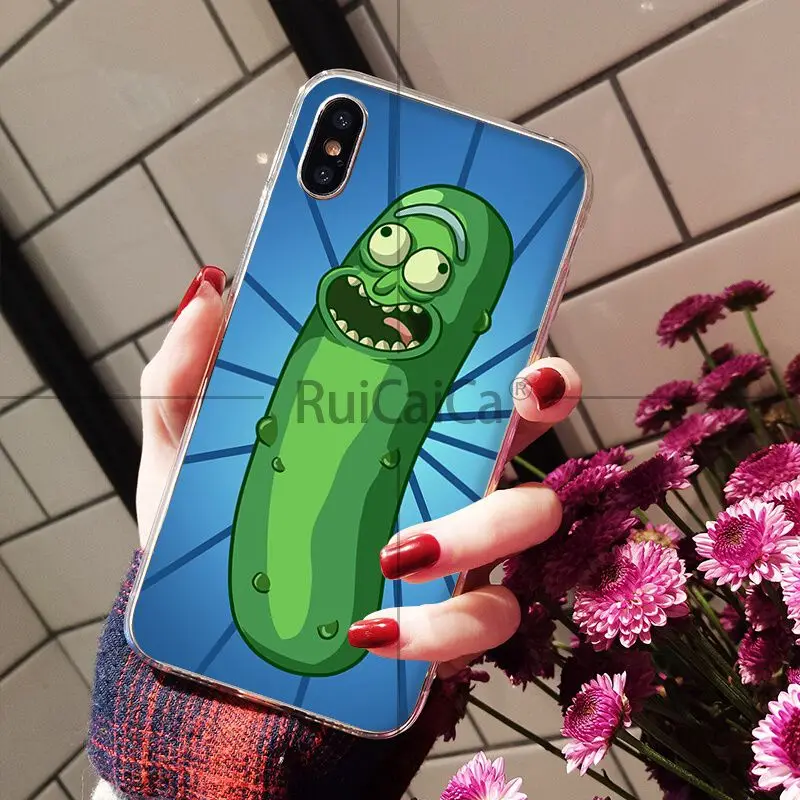 Rick and Morty pickle rick