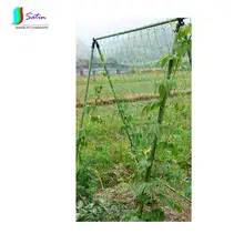 3 шт./партия садовая сеть 1,8*1,8 м квадратное вьющееся растение сеть Садовые принадлежности Цветочная сетка для выращивания нейлоновая сетка O0003