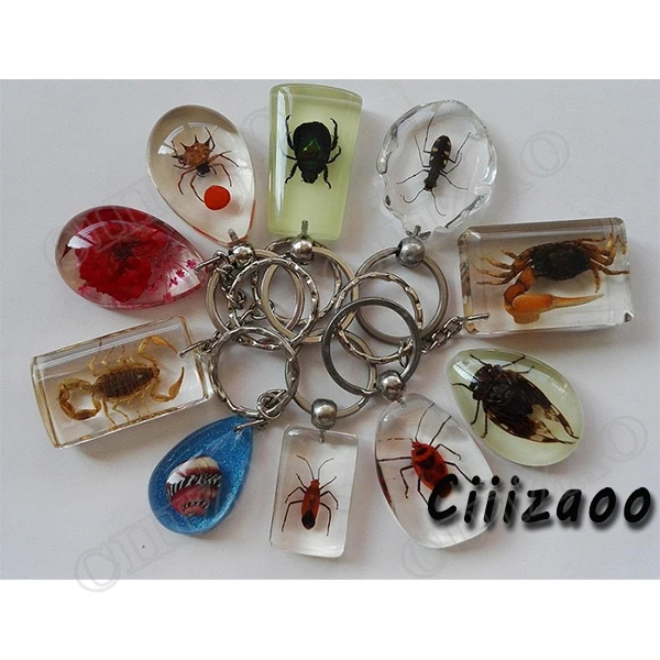 

Insect specimen key pendant car pendant Artificial amber ornaments Specimen