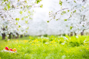 

Spring Backdrop Photo Studio Vinyl Outdoor Natural Scenic Green Grass Easter Photography Backdrops fondale fotografico