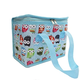 Sky Blue Owl 4L изолированные Переносные сумки для обедов, сохраняющие свежесть продуктов для пикника, крутая сумка-холодильник для обеда, термоконтейнер для обеда для детей и взрослых, небесно-голубая сова - Цвет: Sky Blue Owl
