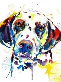 Evershine Бриллиантовая мозаичная собака краска с бриллиантами вышивка крестиком Алмазная Вышивка Полный дисплей животные картина Стразы - Цвет: V8418