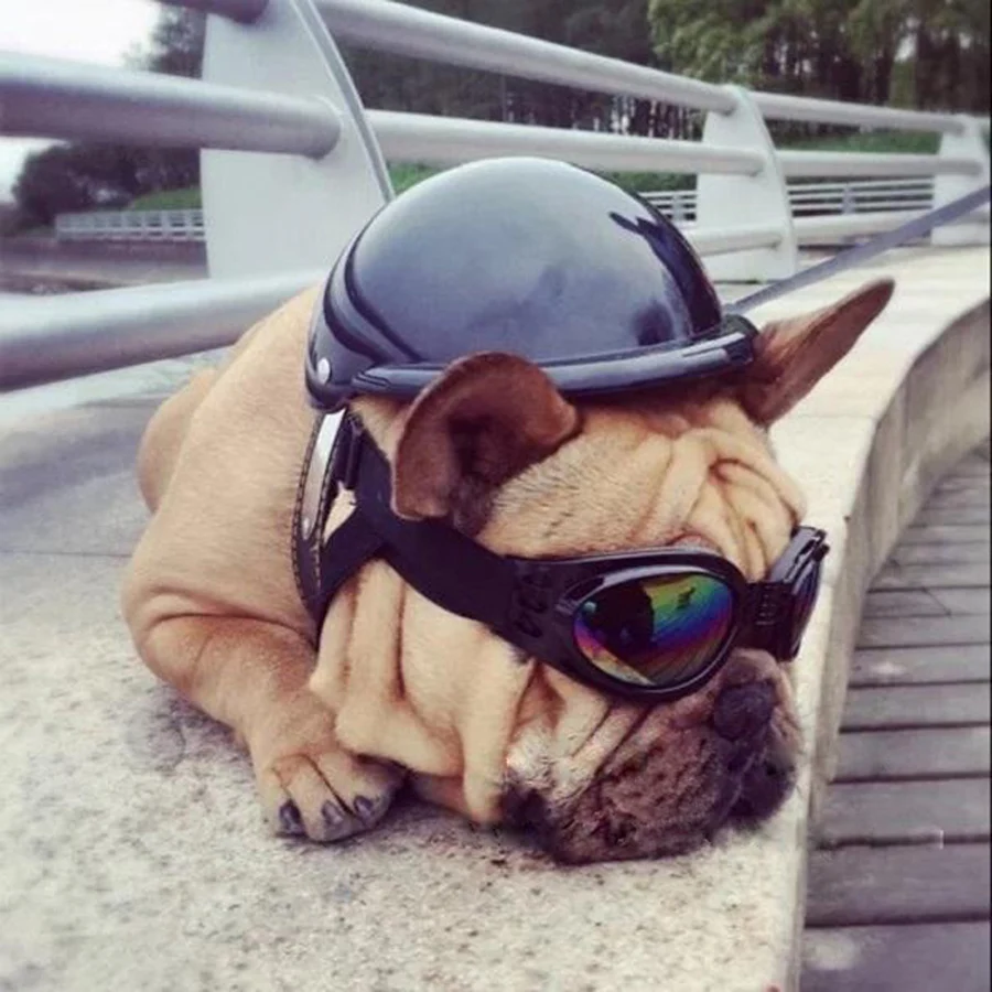 Free Shipping Dog Motorcycle Helmet Pet Safety Helmet Cool Helmet Dog Hat Funny Pet Ornaments Free Sunglasses Motorcyclists