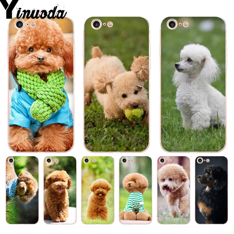 

Yinuoda For iphone 7 6 X Case toy poodl dog Novelty Fundas Phone Case Cover For iPhone 8 7 6 6S Plus X 5 5S SE XR XS XSMAX