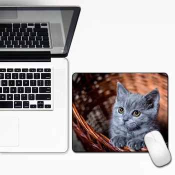 

FFFAS Animated mouse pad Lovely animal image mini 30X25cm Available to work Notebook computer PC apply washable