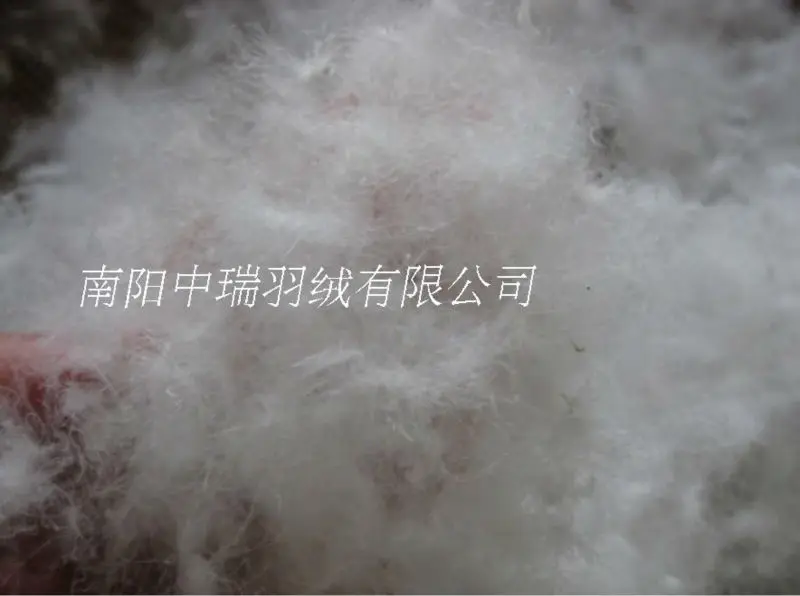 

95%white goose down &fill power 850& semi finished filling compound&bulk down paypal accepted 8 oz/piece paypal accepted