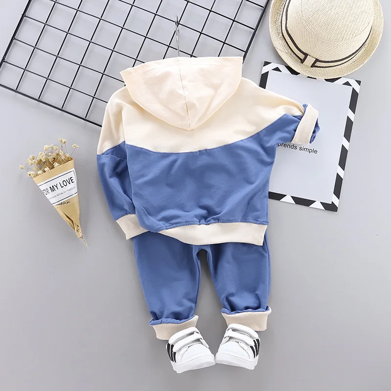 Casual Toddler Girl Clothing Set Fashion Hooded Sportswear Kids Boys Clothing Spring Long Sleeve Suit Girls Clothes kids clothing set