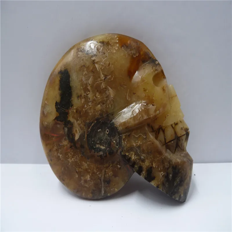 

NATURAL Conch fossil Crystal carved skull HEALING T408