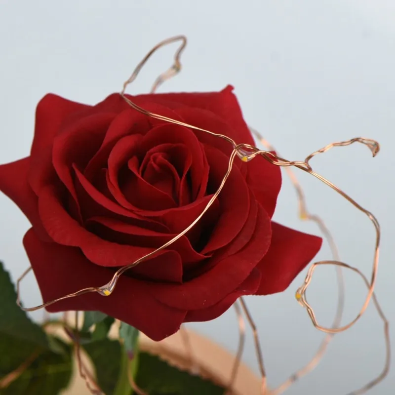 Светодиодный красивая роза и зверь батарея питание красный цепочка цветов свет настольная лампа Романтический День Святого Валентина сувениры для вечеринки ко дню рождения