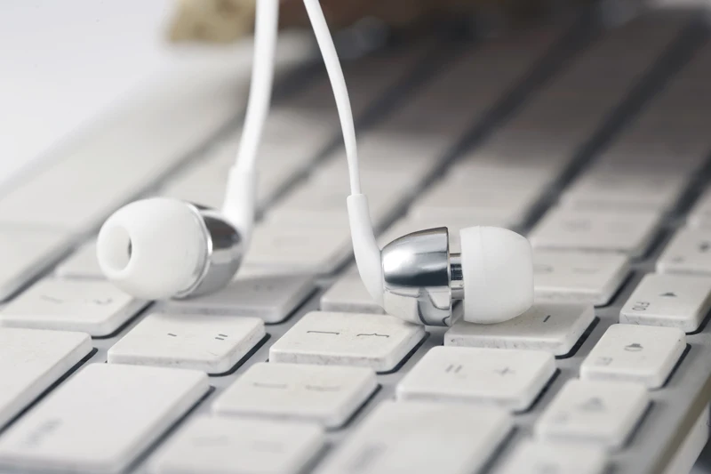 Wallytech W802 Metal earphone silver 21