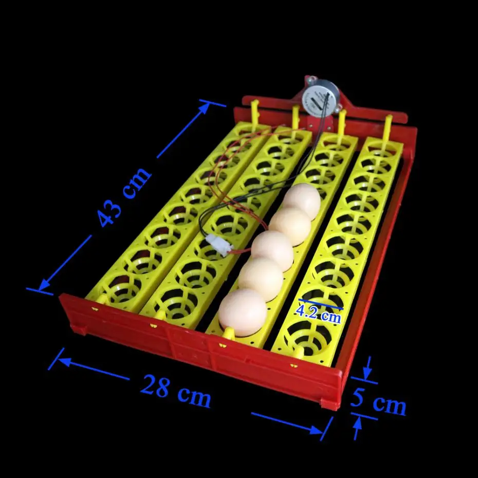 36 яиц автоматический инкубатор поворот яиц лоток курицы фазана лоток Diy инкубатор экспериментальное обучающее оборудование