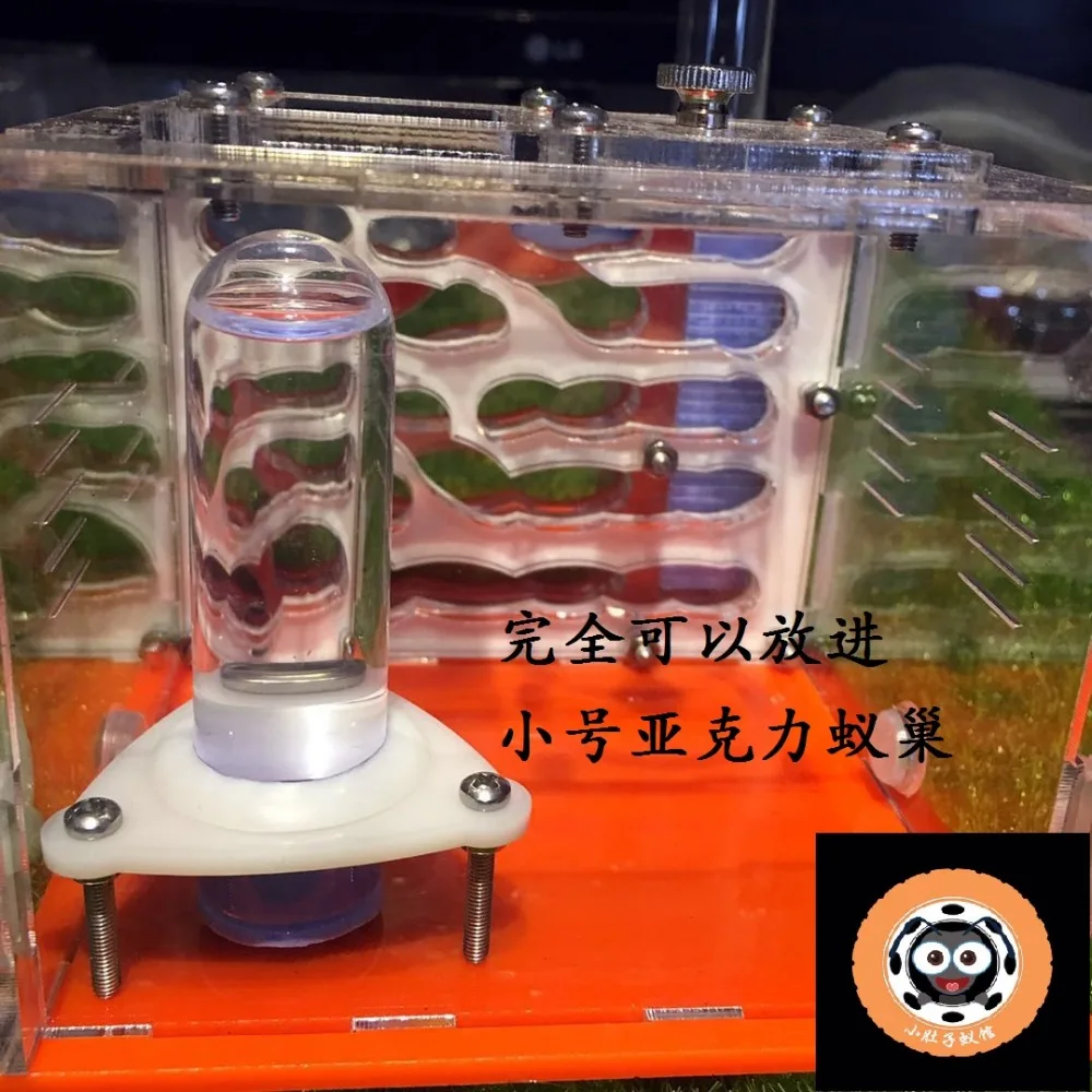 Ant-Water-feeder-tubes (4)
