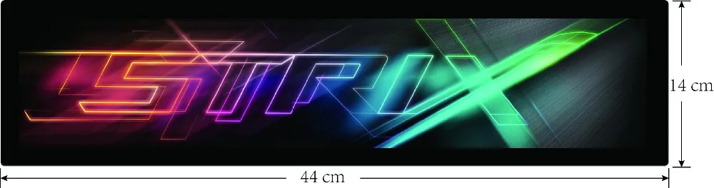  31