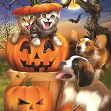 Бриллиантовый рисунок Рождество Хэллоуин подарки на заказ кошка птица Собака Череп Hibah домашний декор Pintura Диаманте понто