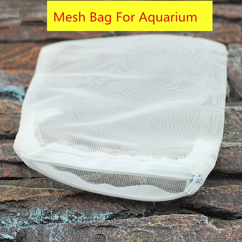 2930028962_1645901485