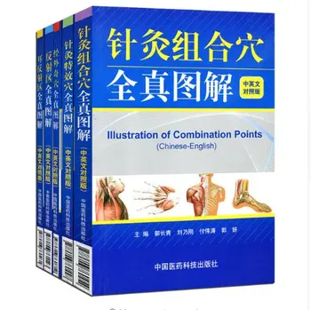 

5pcs set English and Chinese full version acupuncture and moxibustion meridian acupuncture points Ear reflex zone medicine book