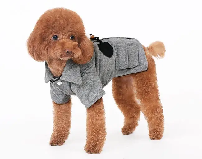 New autumn winte dogs cats cool jackets doggy fashion coats clothes puppy overcoat clothing pet dog cat hoodies costume 1pcs