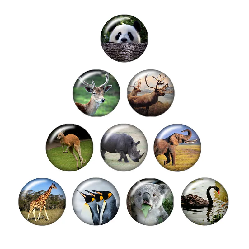 

Lovely panda giraffe rabbit 10pcs mixed 12mm/16mm/18mm/25mm Round photo glass cabochon demo flat back Making findings