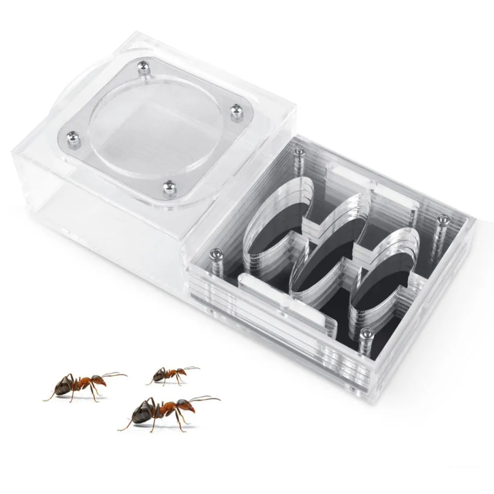 

T Design DIY Ant Nest With Feeding Area Acrylic Ant Farm Insect Nests Small Pet Villa Mania Ants House
