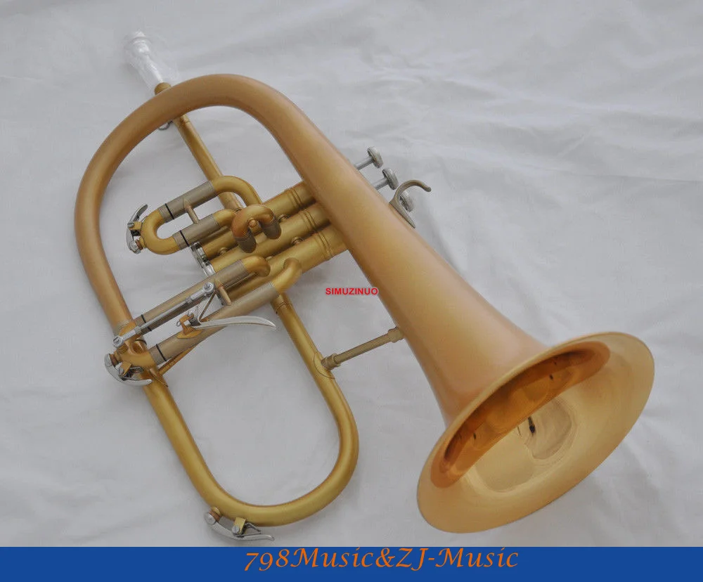 Professional Matt Gold Flugelhorn Monel Valve Bb Key Flugel horn Case