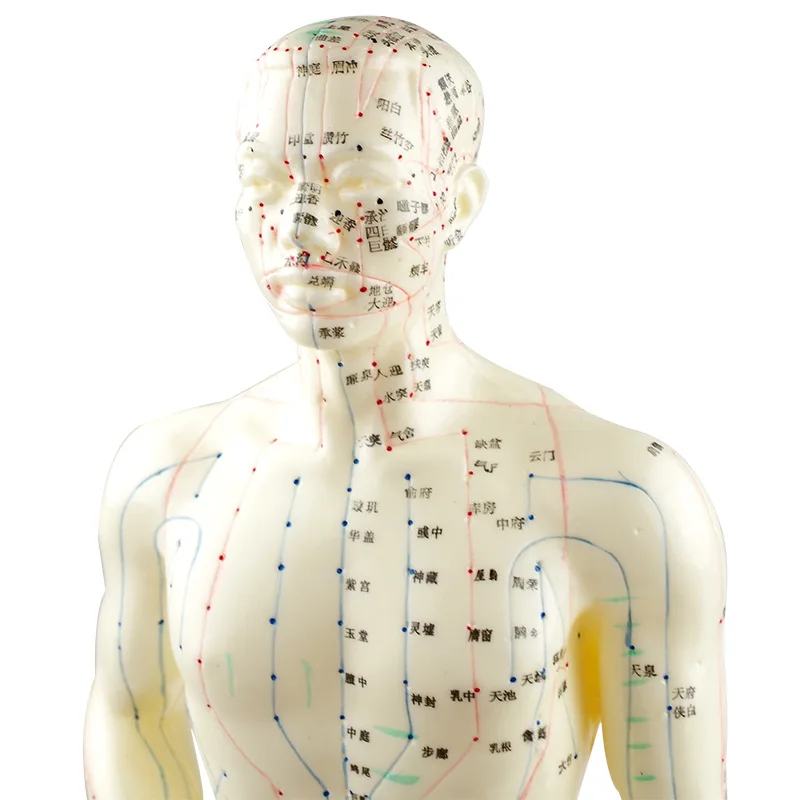 acupuncture-facial-meridians-girl