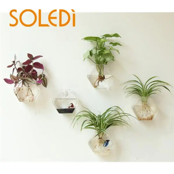 

Creative Home Room Cone Glass Mini Wall Hanging Flower Water Plant Vase Bottle