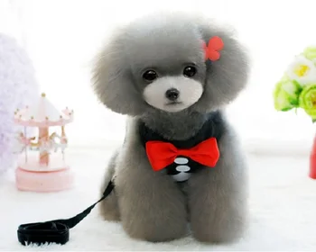 

FD84 Free shipping Red Bowtie Tuxedo Pet Dog Harness With Leash Adjustable Safety Walk Harness Vest Gentleman Suit Bo