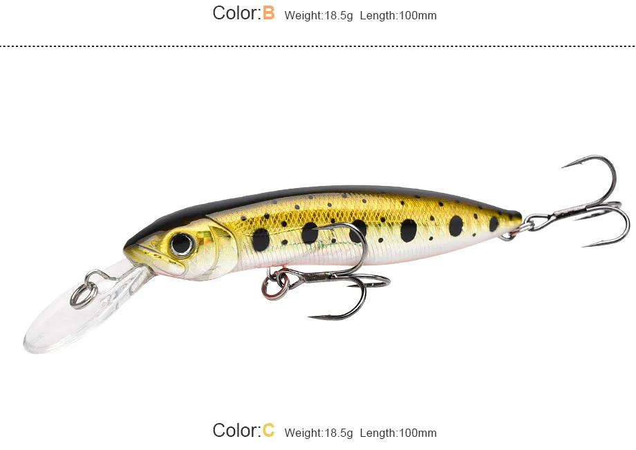 minnow-1_07