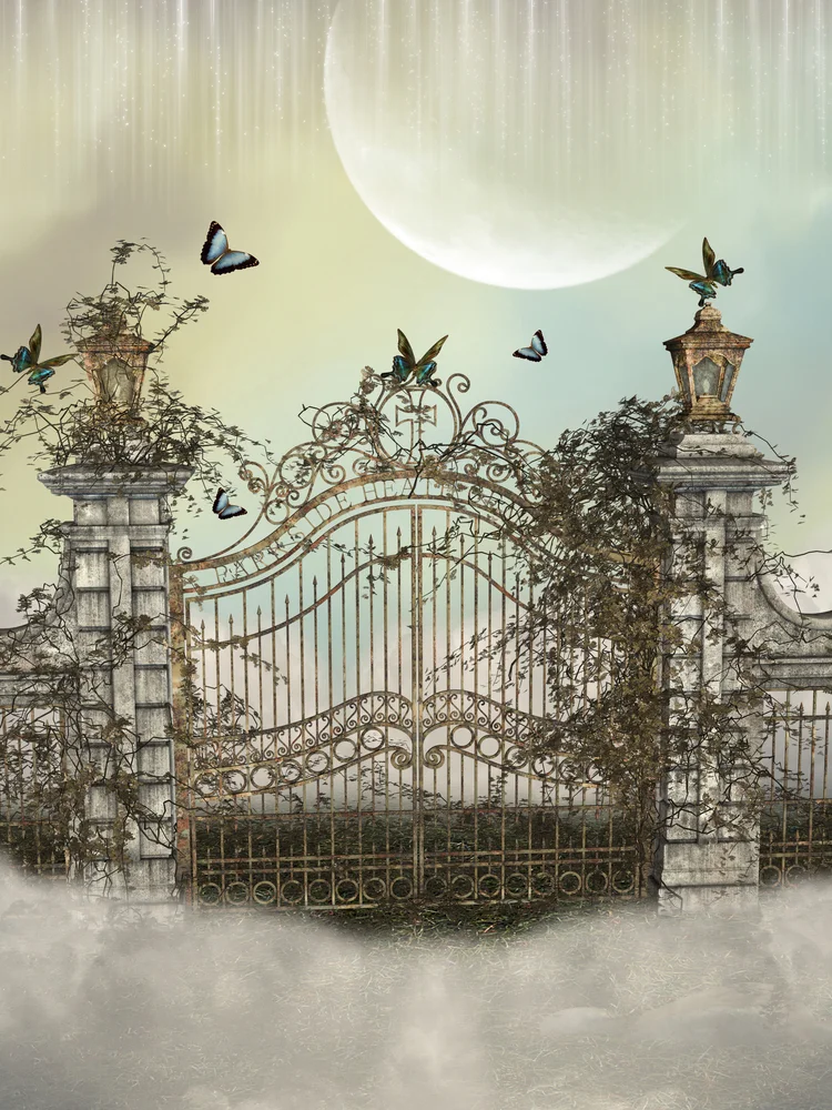 

LIFE MAGIC BOX Moon Door Background Photo Wonderland Backdrop Butterfly First Communion Decoration