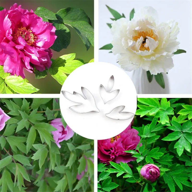 

3pcs/set Stainless Steel Tuberose Petal Cookie Cutters Biscuit Cutter Fondant Cake Decorating Tools Dessert Baking Mould