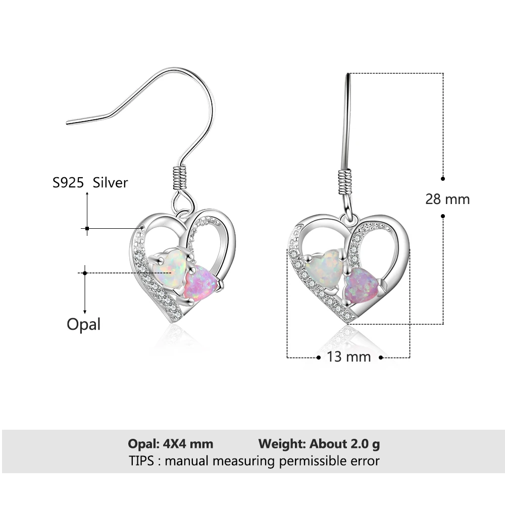925 Sterling Silver Drop Earrings (1)