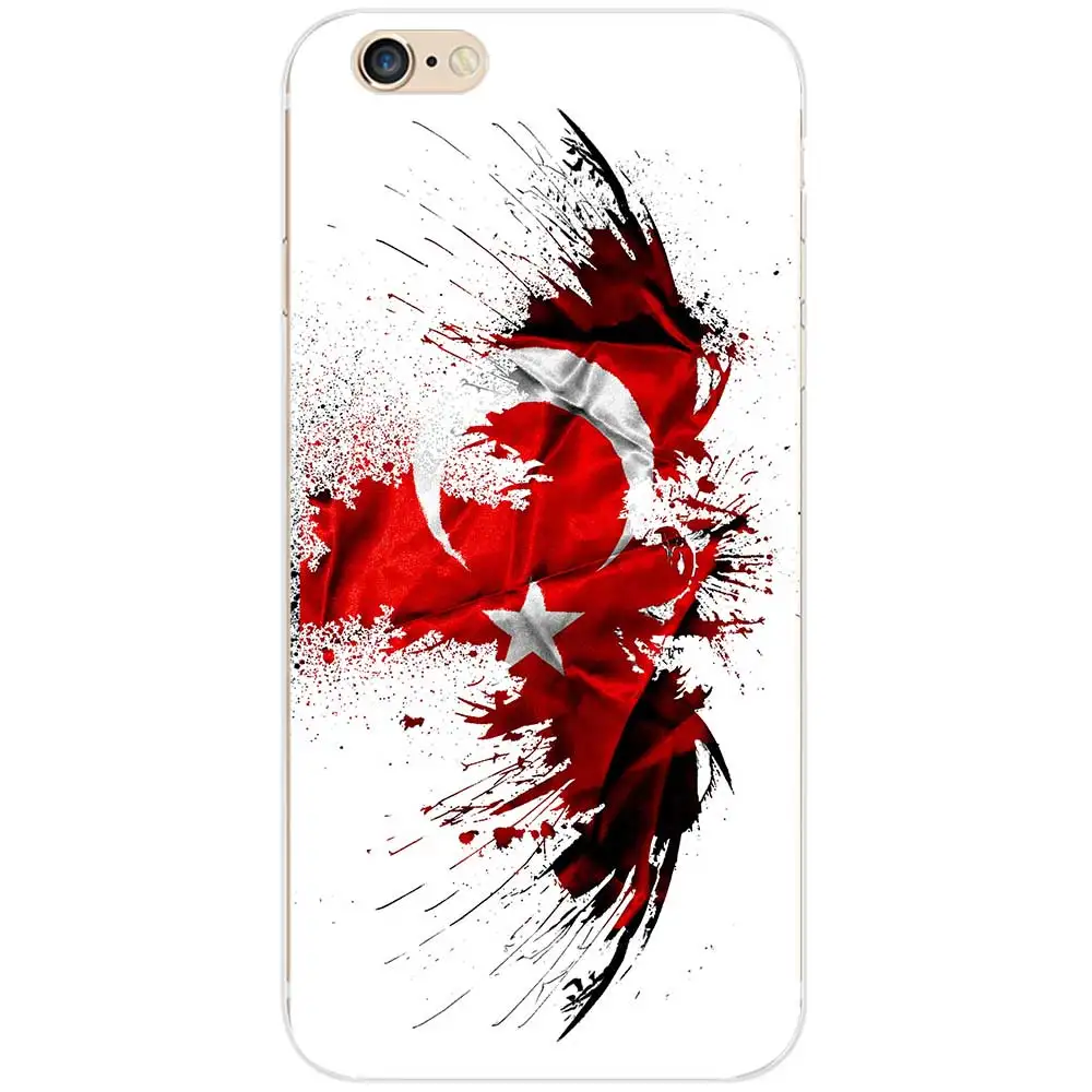 turkeyA