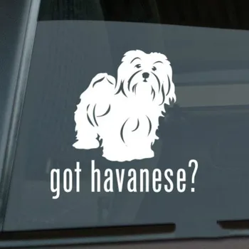 

Got Havanese Sticker Die Cut Vinyl - blanquito Car decal Size(inch): 5.25 x 5.32