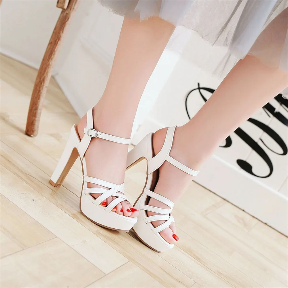 IMG_7583