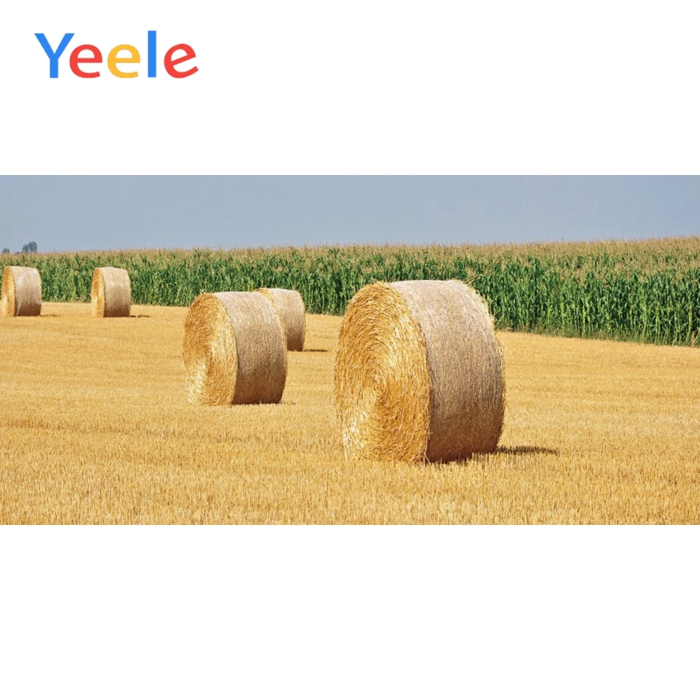 

Yeele Hay Bale Harvest Farm Scene Posters Wall Photography Background Baby Photographic Backdrop Children Props For Photo Studio