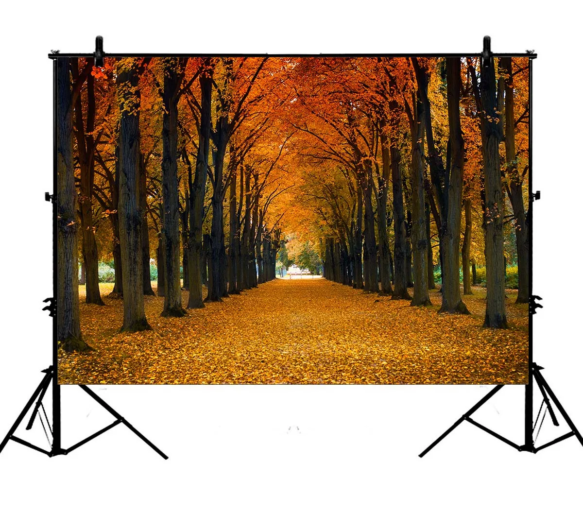 

5x7ft Autumn Forest Trail Fall Leaves Polyester Photo Background Portrait Backdrop