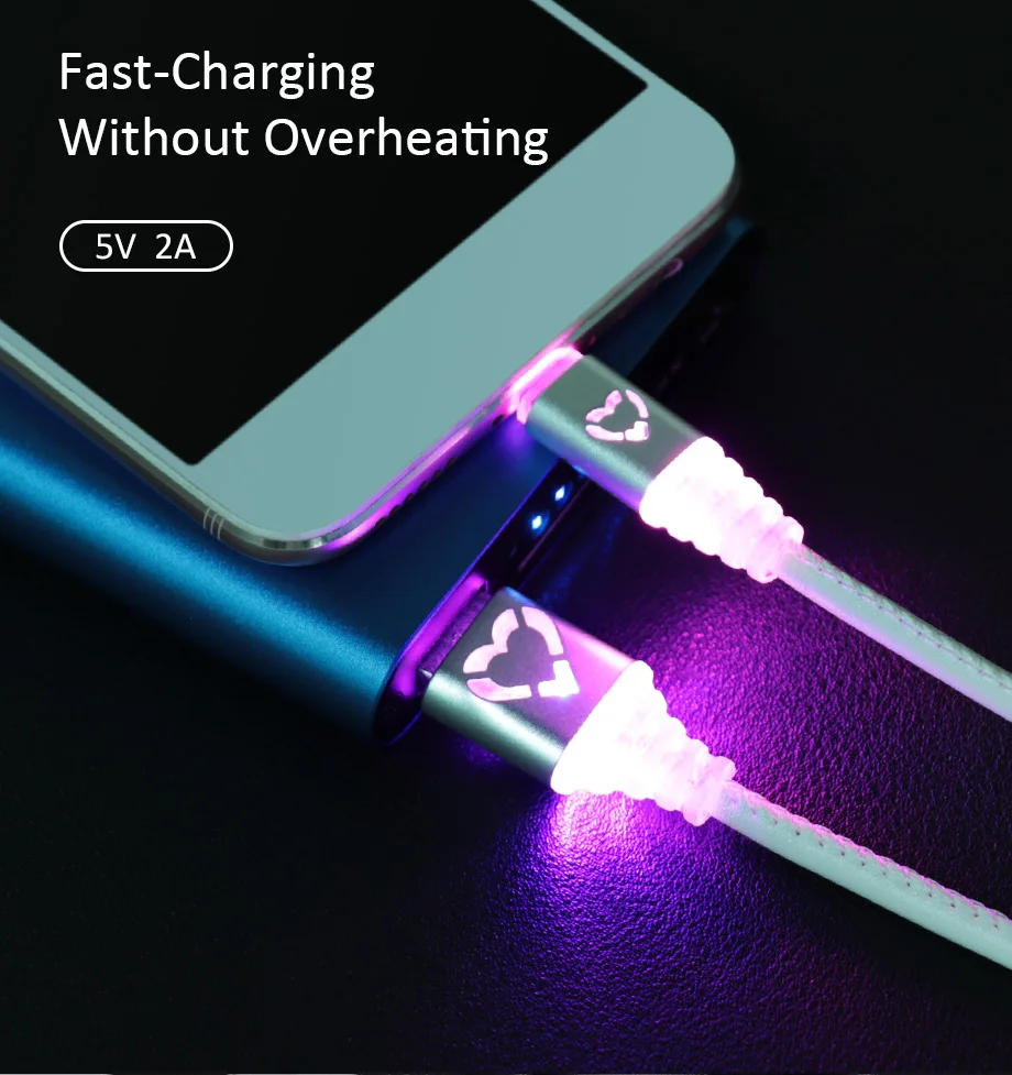 Cable Micro USB (2)