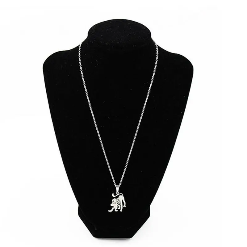 316L-Stainless-Steel-12-Zodiac-Symbol-Constellation-Astrology-Horoscope-Pendant-Necklace-Aries-Virgo-Taurus-Leo-Birthday.jpg_640x640 (4)