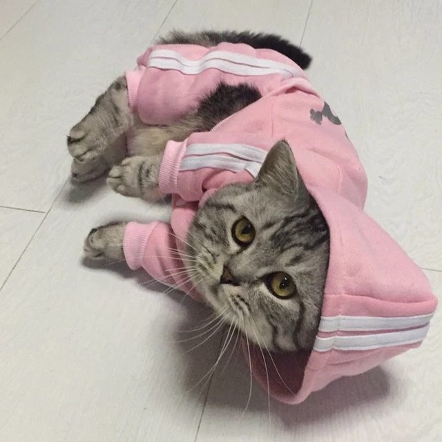Fashion Cat Clothes For Cats Winter Warm Cotton Cat Clothing For Pets
