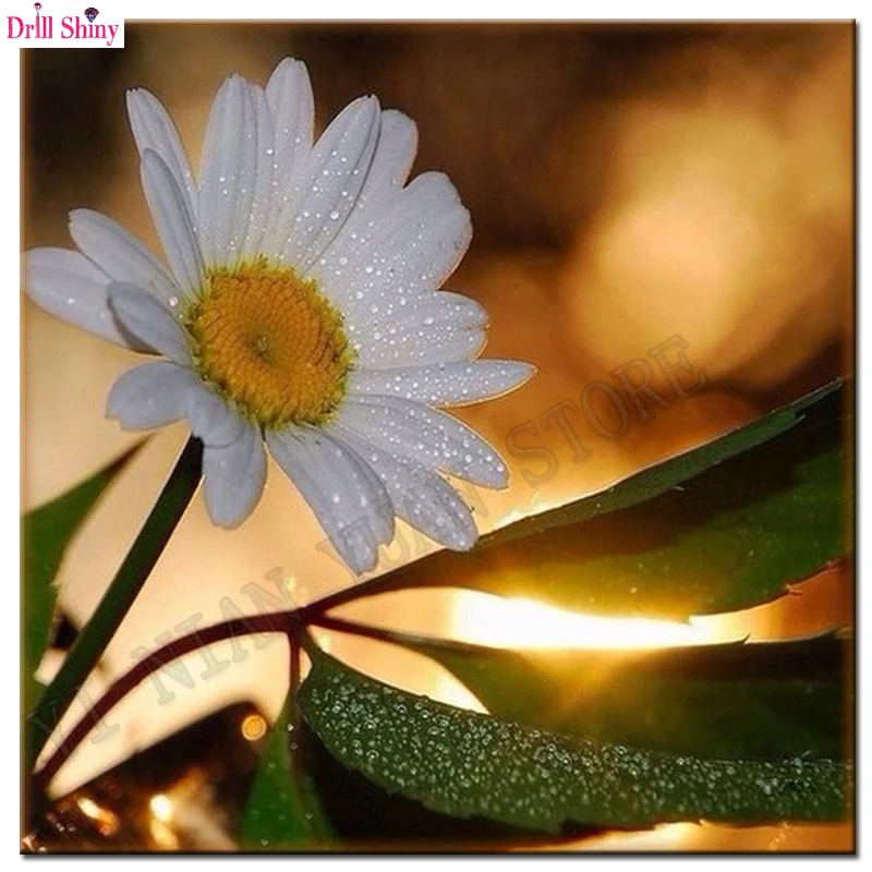 

Full round drill Diamond Embroidery Modern Diamond Painting Flowers Cross Stitch Home Decor Rhinestone Mosaic Needlework kit